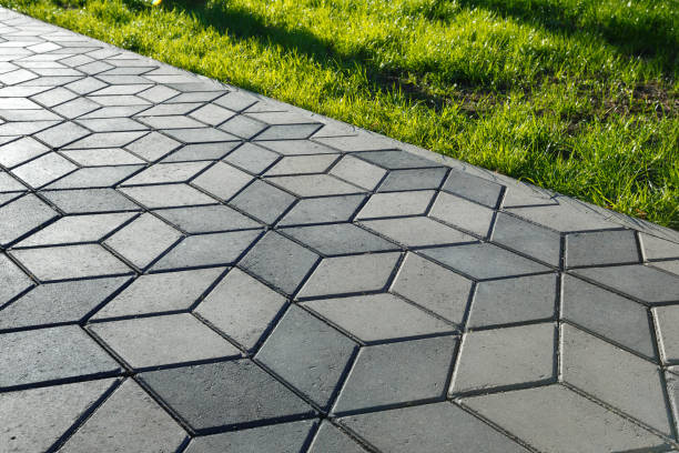 Best Local Driveway Pavers  in Muenster, TX